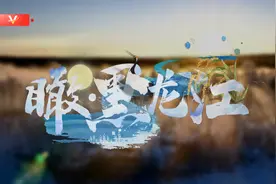 时政微视频丨瞰黑龙江图片