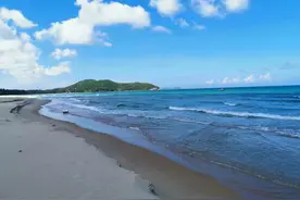 谁说海南无好酒？这4大“便宜”酒正中下怀，内行人整箱往家搬图片