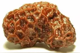 51种稀奇古怪的石头，你都见过吗？图片