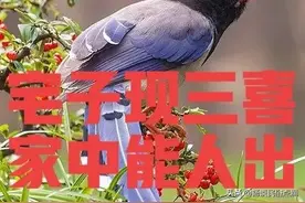 老话说：“宅子现三喜，家中能人出”，老祖宗留下的俗语，还准吗图片