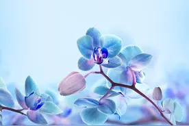 2.2.1 市盈率PE图片