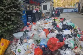 物业公司拖欠工资 小区生活垃圾多日不清图片