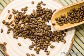 决明子清肝火，可用于眼睛红、结膜炎，缓解高血压、高血脂头痛图片