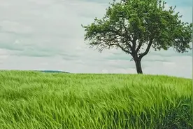 这6张图片：揭开了如今社会最真实的一面图片