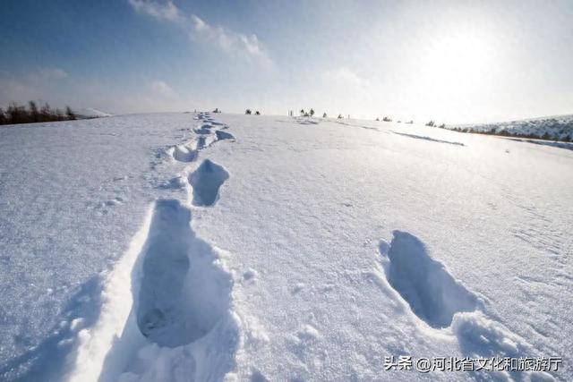 北京周边自驾游攻略(北京周边800公里自驾游推荐)