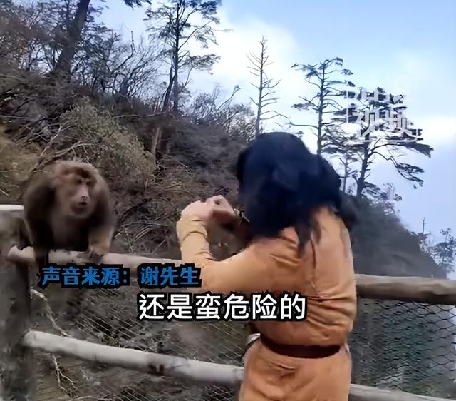 男子回应和峨眉山猴子“互殴”
