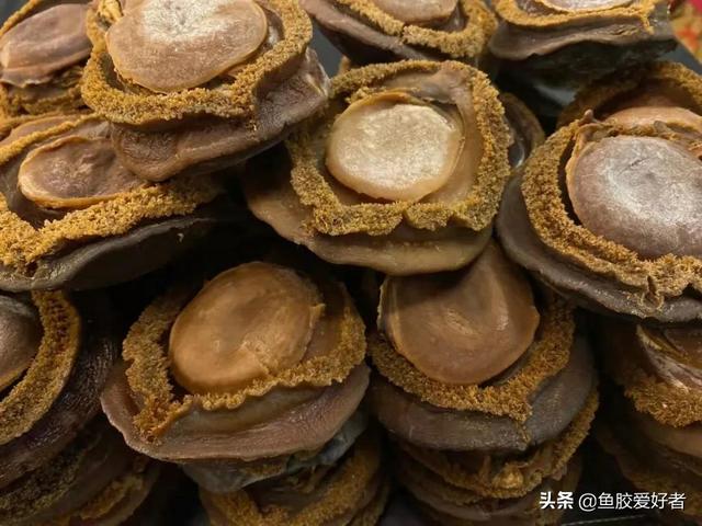 棉线花胶是什么鱼 英语四级没过考研英语能考多少分