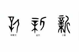 说文解字：新图片