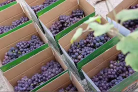 异地（湖南）农合医保深圳用图片