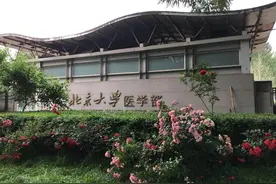 北京大学当然是最好的大学，但是考上医学部护理专业恐怕很冤枉图片