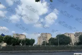 拆迁！徐汇滨江80年代“老破小”要动了图片