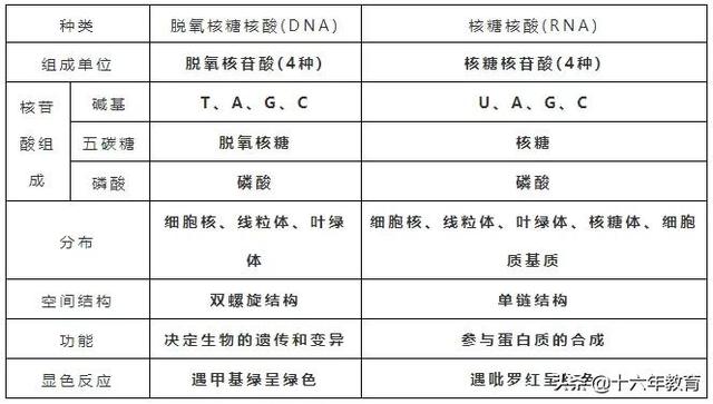 高中生物三年必背知识最全汇总（建议打印）