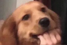 搞笑段子之一二三四五六七图片