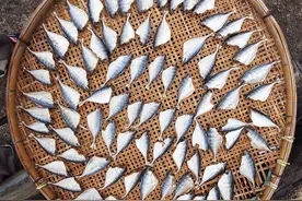 中国咸鱼地图，就问你魔不魔性？图片