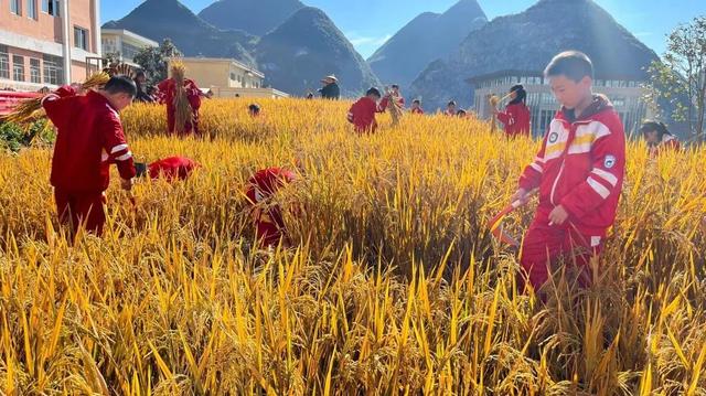 ˮ�����ڶ�Сѧ��ɽУ����չ����������֡�����