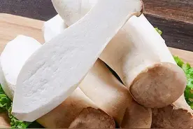 买杏鲍菇时，选粗的还是细的？牢记这4点，谁也忽悠不了你图片