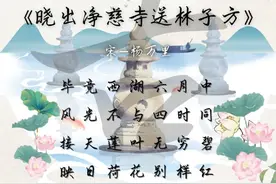 「每日一诗」说说杨万里的《晓出净慈寺送林子方》图片