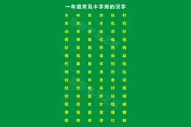 一年级偏旁部首木字旁，一年级木字旁的汉字，木字旁考试知识点图片