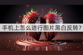 手机上怎么进行图片黑白反转？黑白转换妙招图片