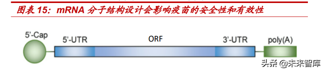 医药生物行业专题报告：mRNA技术有望迎来黄金十年