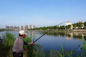 别人逗钓能连竿，你逗钓为啥没鱼搭理你？只因做错了这几项图片
