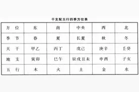 关于天干地支的意象和推演图片