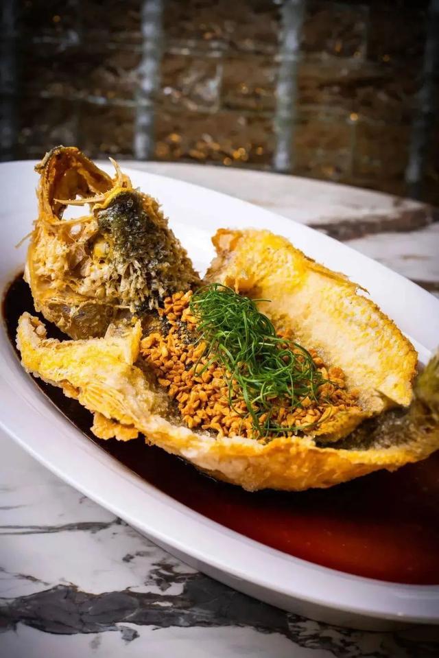 干松姬茸花胶煲瘦肉 2026年姬松茸花胶煲鸡汤