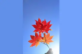 朋友圈温柔而强大的精选句子图片