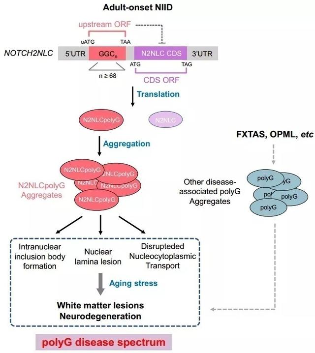 复旦上医11月科研成果一览