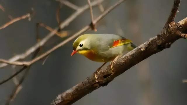 四川省民生研究会新媒体中心-官网