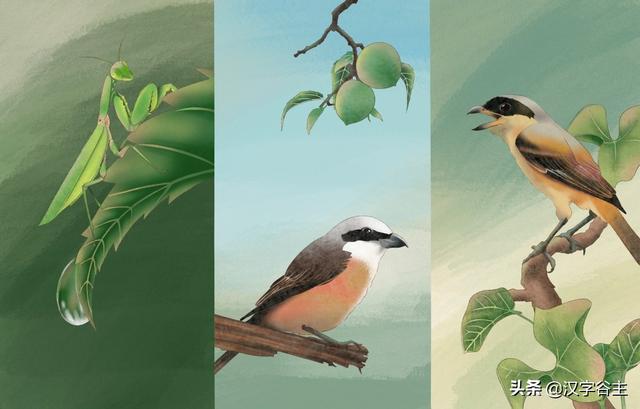 汉字节气：“芒种”也“忙”也“亡”，理解“芒”字思维表达