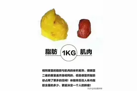 想要瘦的匀称，这3种食物减肥必须要吃！图片