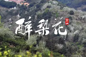 有一种春光，叫作：云浮金山梨花开！图片