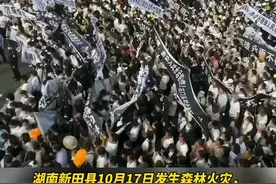 湖南新田森林火灾两名消防员牺牲，一人经历汶川地震后长大刚看新房准备结婚图片