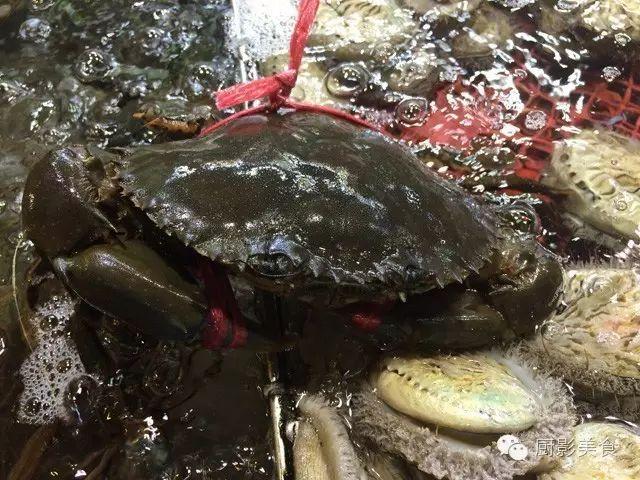 40头的花胶是几级 2025年花胶40头是什么意思?