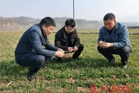 5月土地承包新规生效，5种情况可中止承包合同！村干部能收回吗？图片