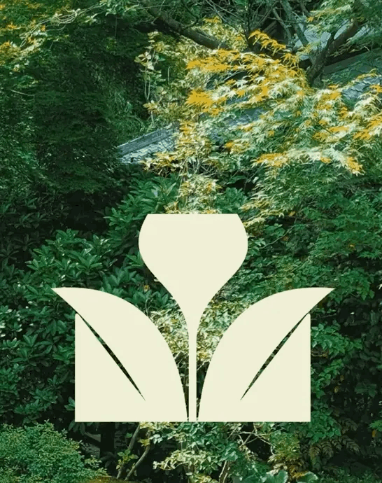 没有问题和答案的世界|人工智能