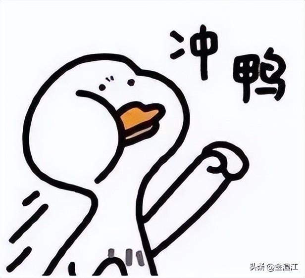吃完花胶肚子疼 2026年吃完花胶肚子疼怎么办