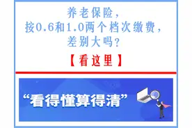 养老保险，按0.6和1.0两个档次缴费，差别大吗？图片
