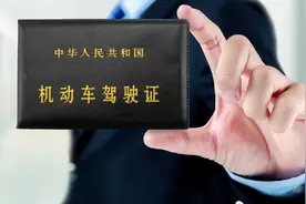 每分90元！男子非法卖驾照分获利被拘：大头都让中介赚走了图片