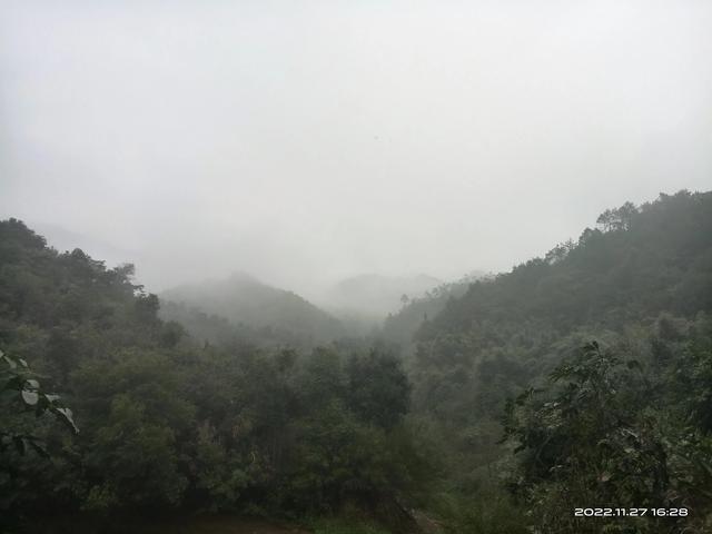 ����е����