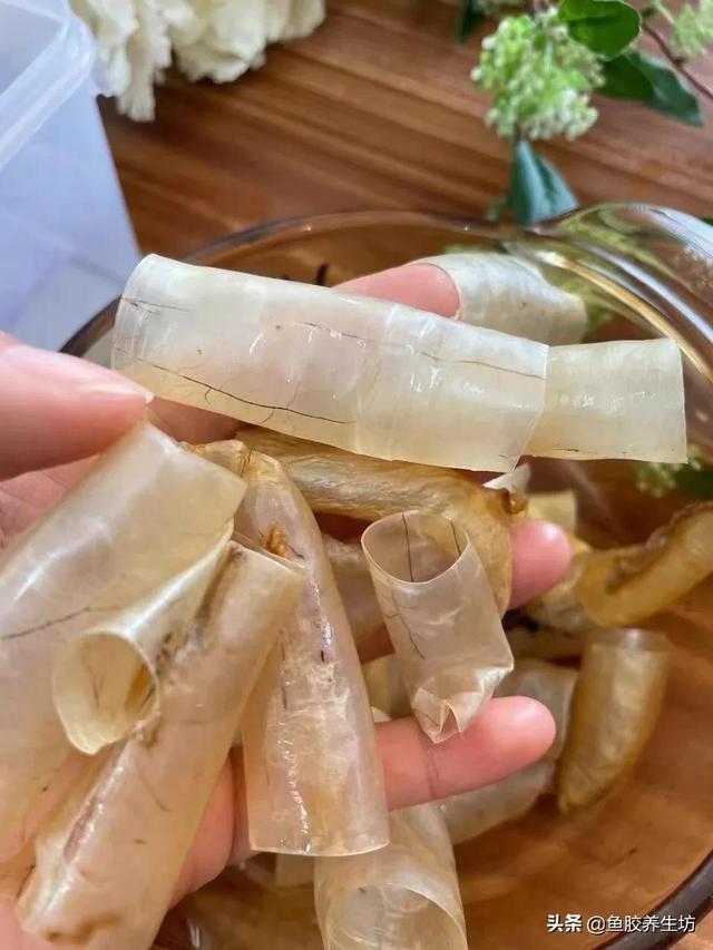 黄门鳝肚花胶怎么做 2026年黄门鳝胶与花胶的区别