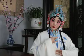 建议收藏 豫剧桑派名剧《桃花庵》九尽春回杏花开 伴奏图片