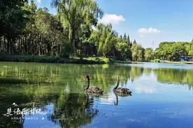 无锡这家生态园风景秀丽，被称为城中小森林，原来是网红打卡圣地图片