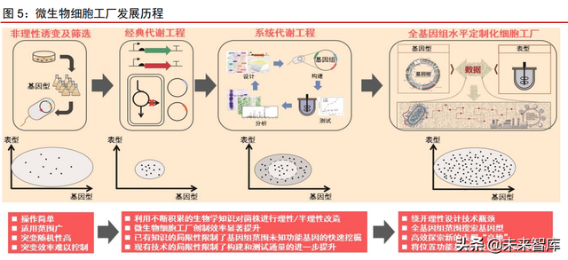 合成生物行业深度报告：合成生物学蓬勃发展，市场空间广阔