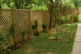 曝杨幂豪宅，爸爸在院子里种菜，一心向往农家生活图片