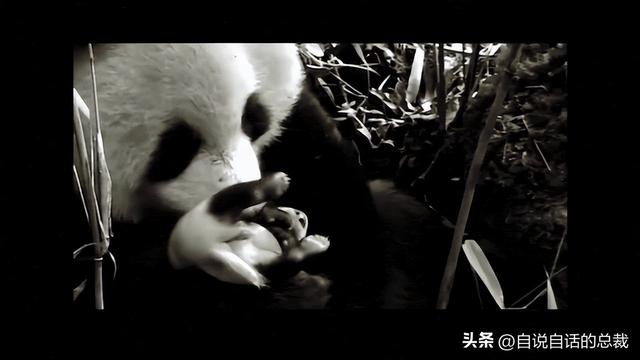 熊猫：真实存在的上古恐惧，为什么只有人类觉得大熊猫很可爱？
