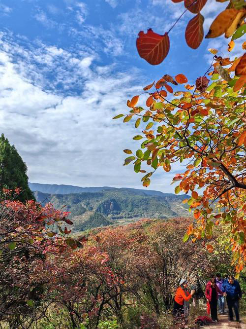 亿年地貌配秋红，陕南襄王沟炸场，此生必去无遗憾！