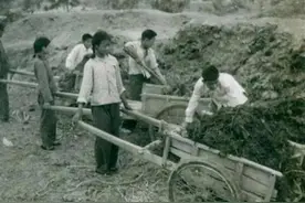 大姨——纪念逝去2周年图片