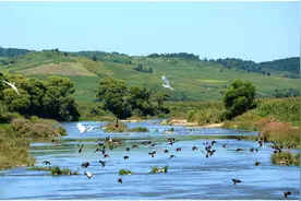 去柳河怎么玩？这几条旅游路线可参考！图片